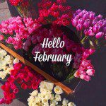 HelloFebruary